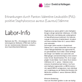 Panton-Valentine-Leukozidin (PVL)- positive Staphylococcus aureus (S.aureus) Stämme